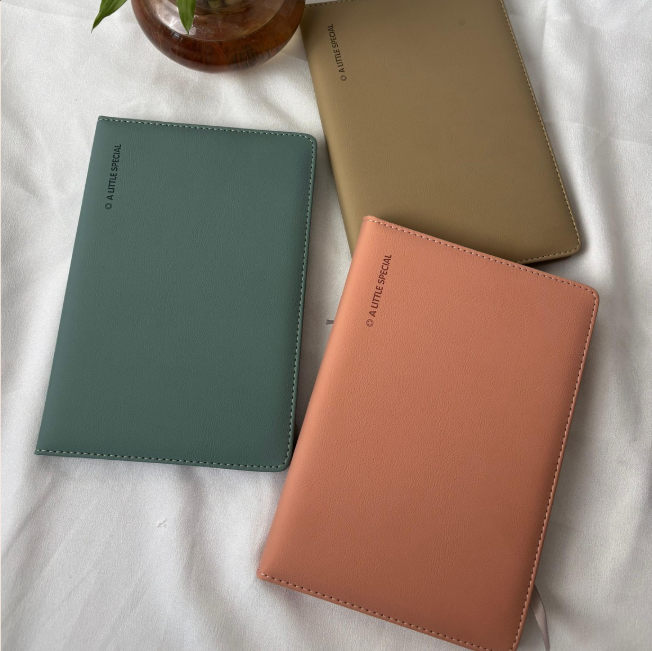 Diaries