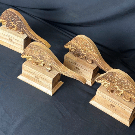 Any Shape Award